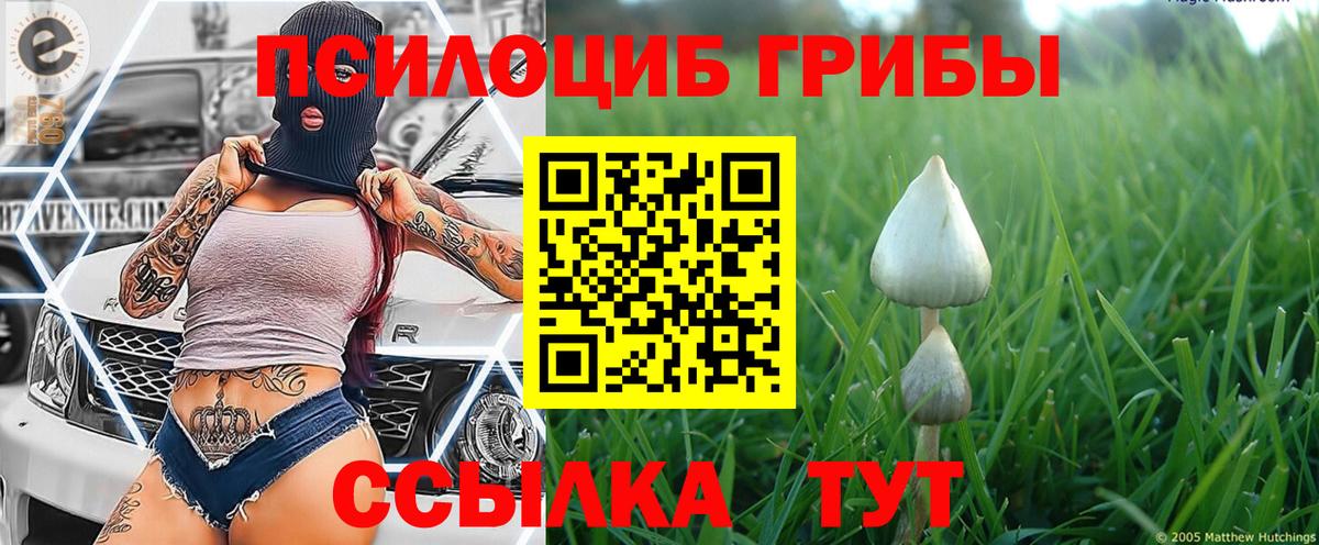 Галлюциногенные грибы Cubensis Петропавловск-Камчатский