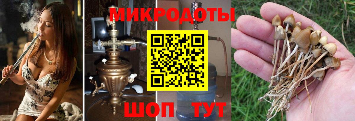 даркнет сайт  Вход с VPN  Петропавловск-Камчатский  Псилоцибиновые грибы прущие грибы 